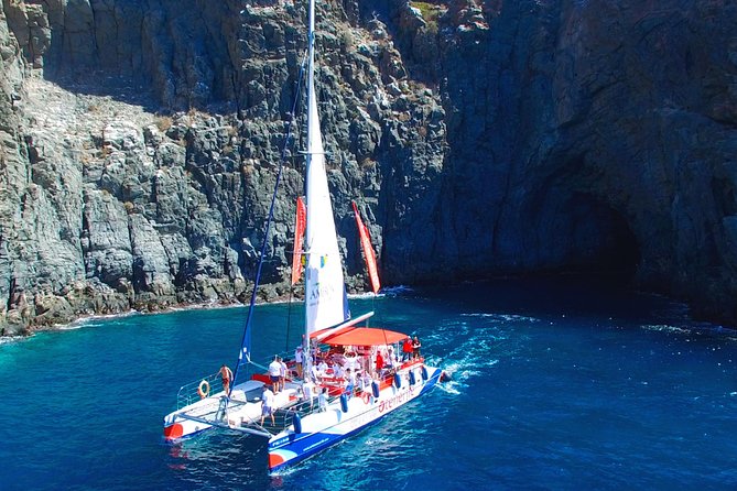 Whales Listening Eco-Catamaran Tour With Food Tasting - Traveler Photos