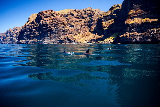 Whales Listening Eco-Catamaran Tour With Food Tasting - The Sum Up