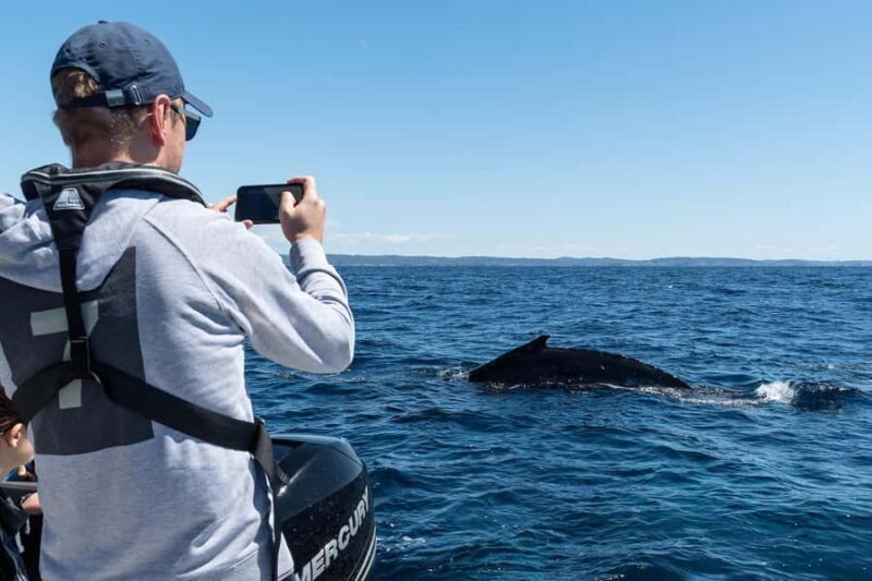 Whales of Sydney Sea Safari - Private - Why This Tour Offers Great Value