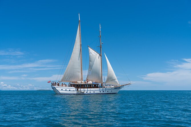 Whales Tale Day Cruise From Port Denarau - Pricing and Booking