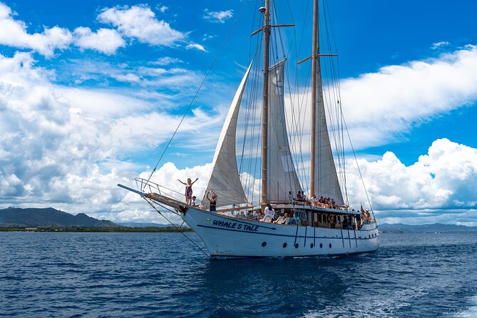 Whales Tale Day Cruise From Port Denarau - Overall Experience