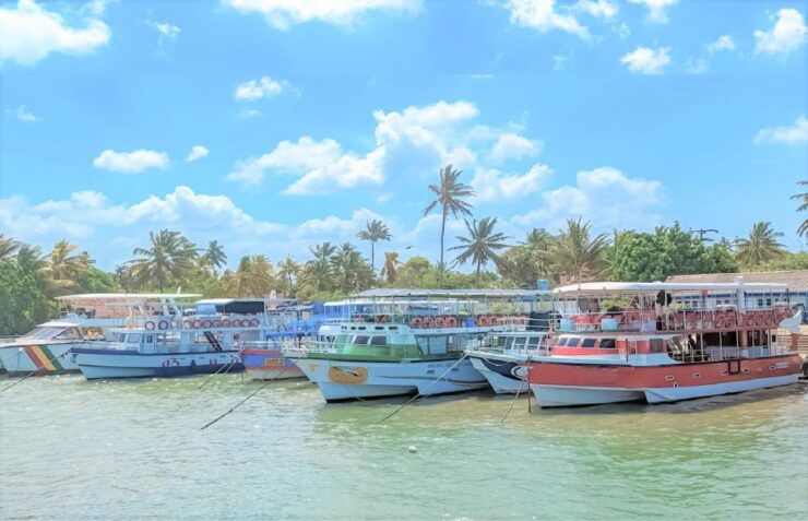 Whales Watching Tour Transfer - Galle, Unawatuna, Ahangama, - Activity Details