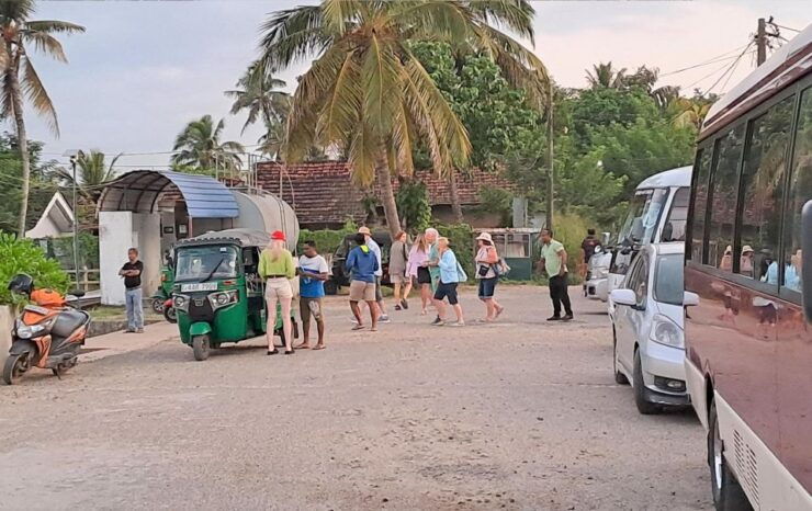Whales Watching Tour Transfer - Galle, Unawatuna, Ahangama, - Tour Highlights