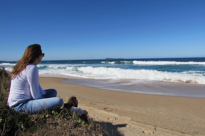 Whaling Search - Whale Watching by Land - Discover the Coastal Whale Viewing