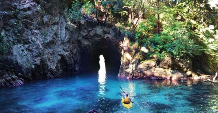 Whangamata: Donut Island Guided Kayaking Experience - Activity Details