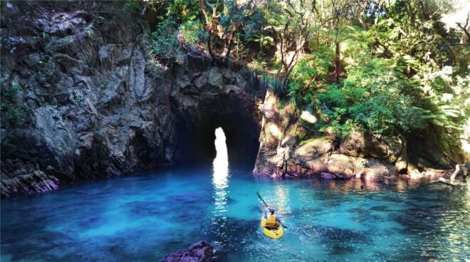 Whangamata: Donut Island Guided Kayaking Experience - Related Activity Option