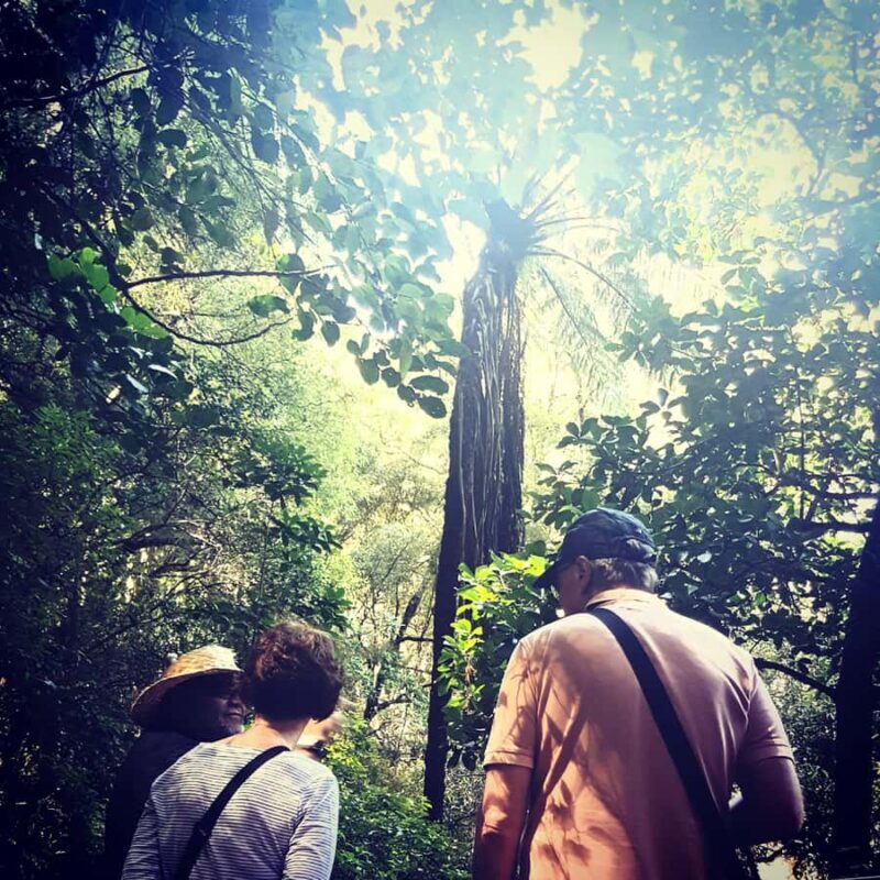 Whangrei: Private Mori Cultural Experience with Lunch - A Detailed Look at the Whangarei Mori Cultural Experience