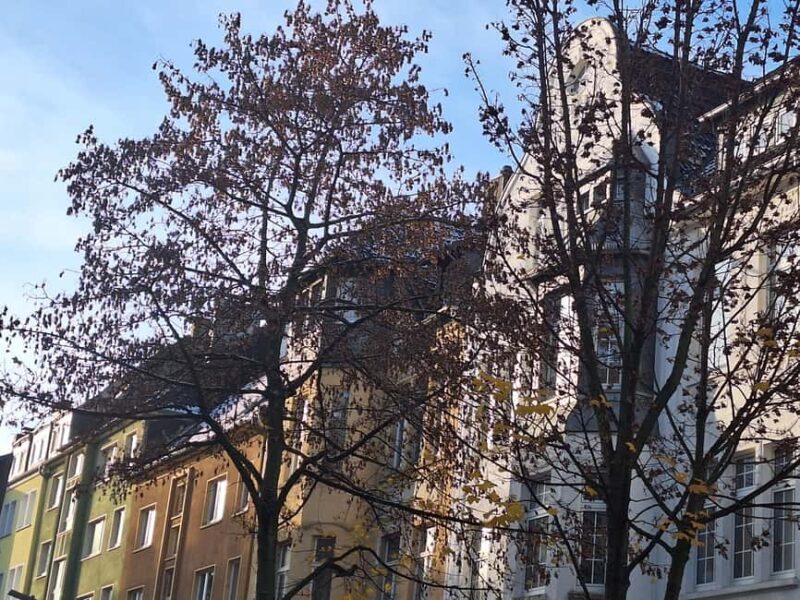 What has made Dortmund rich to this day: Bike tour incl. drink - Practical Details and Value