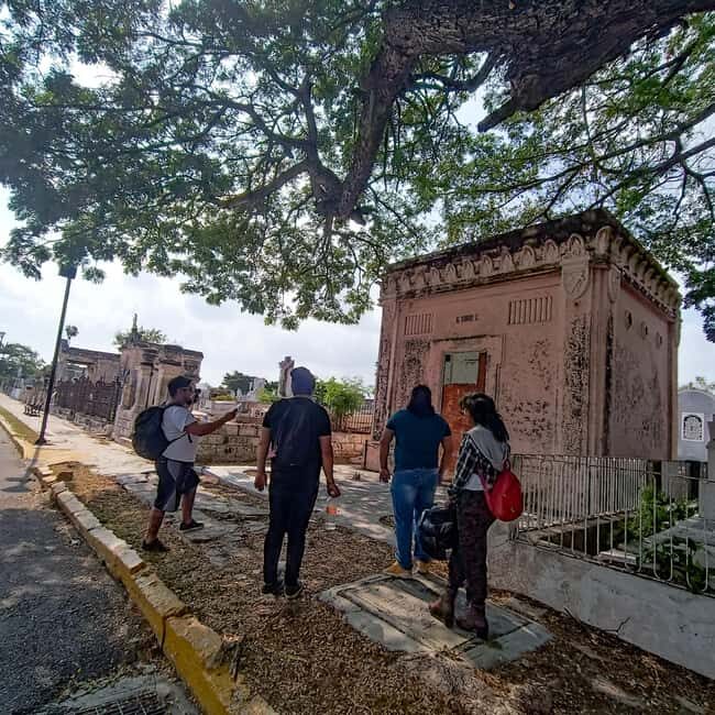 What's Day of the Dead? Merida: Cemetery Tour - Unearthing Mérida’s Cemetery: A Deep Dive