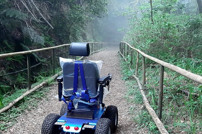 Wheelchair Tour Half Day Caminho Das Queimadas Private Tour - Restrictions
