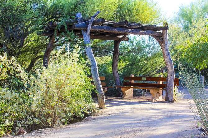 When Nature Calls - Exploring the Sonoran Desert - The Beauty of the Sonoran Desert