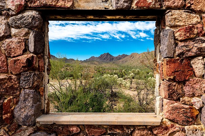 When Nature Calls - Exploring the Sonoran Desert - Exploring Diverse Flora and Fauna