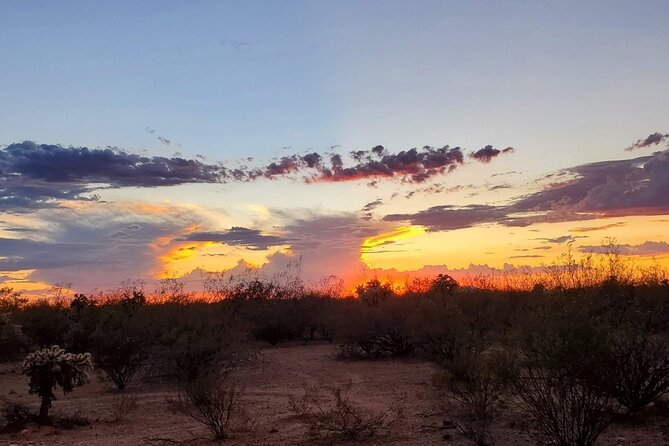 When Nature Calls - Exploring the Sonoran Desert - Taking in Culture and History