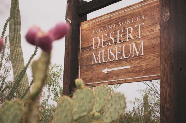 When Nature Calls; Monday - Exploring the Sonoran Desert