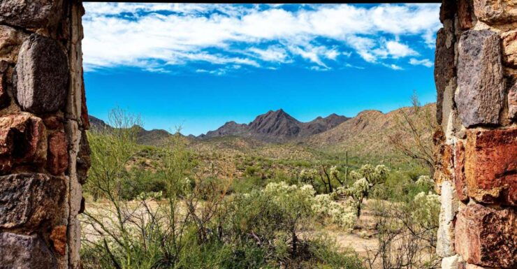 When Nature Calls; Monday - Sonoran Desert Museum: A Nature Preserve