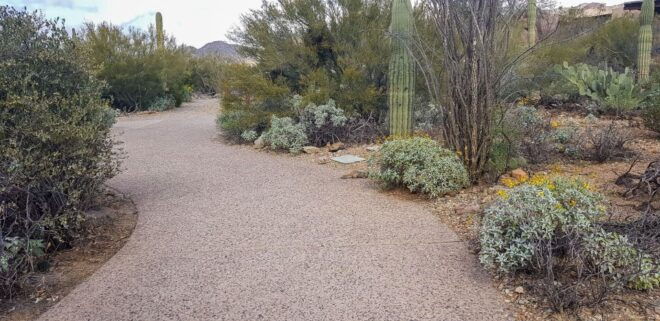 When Nature Calls; Monday - Witnessing the Deserts Natural Wonders