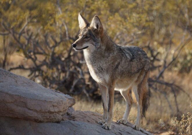 When Nature Calls; Monday - Common Questions