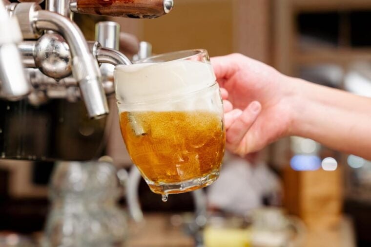 Where Czechs Drink Beer: A Short Tour and Beer Experience - The Practical Aspects