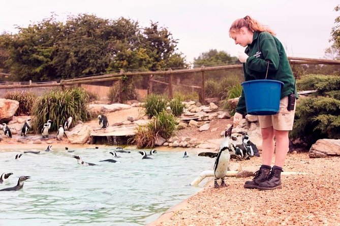 Whipsnade Zoo Entry Ticket - Inclusions