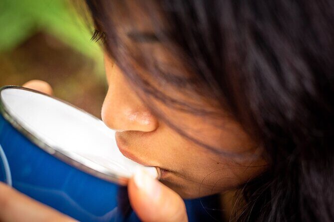 Whirinaki Forest Footsteps: Mori Guided Tour, Picnic & Transfer - A Closer Look at the Tour Experience