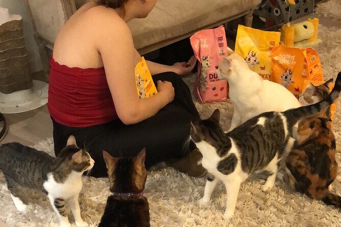 Whiskers & Coffee: Relax and Play with Adorable Cats - Good To Know