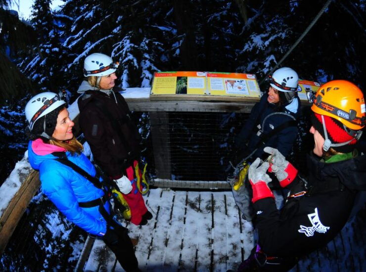 Whistler: 2-Hour Evening Zip Line Adventure - Experience Details