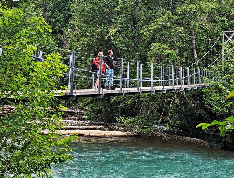 Whistler: Afternoon Bears Spotting Tour in Land Rover - Final Thoughts