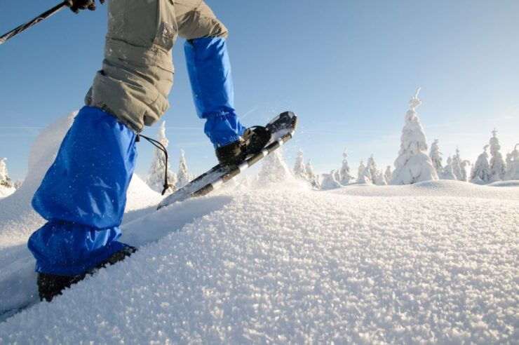 Whistler: Backcountry Snowshoeing Tour With Guide - Experience Highlights