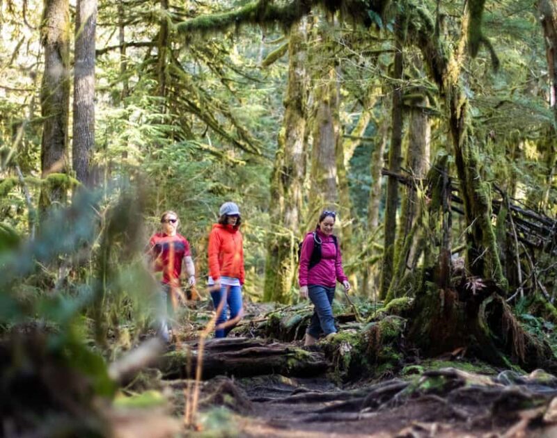 Whistler: Cheakamus Lake Guided Hike in Garibaldi Park - Good To Know