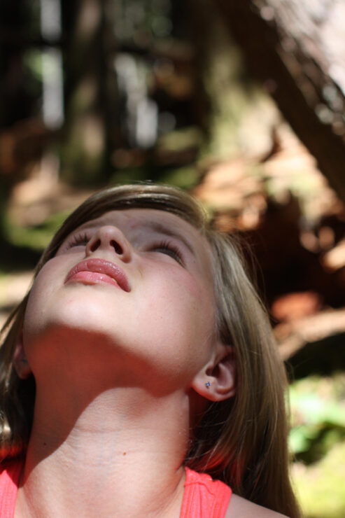 Whistler: Forest Walk, Private Tour for Families - Guided Activities