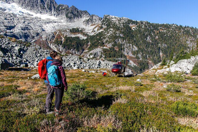 Whistler Guided Day Hiking - An In-Depth Look at Whistler Guided Day Hiking