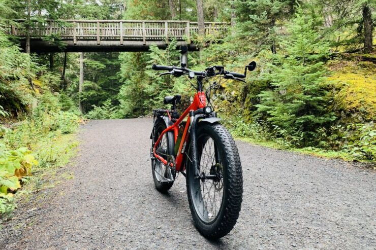 Whistler: Guided Ebike Adventure - Experience Highlights