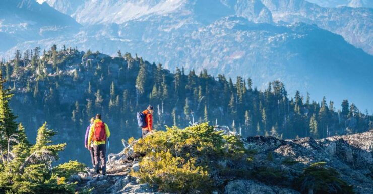 Whistler: Guided Wilderness Hike - Experience Highlights