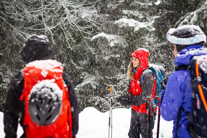 Whistler Intro to Backcountry Skiing and Splitboarding - Safety and Instruction