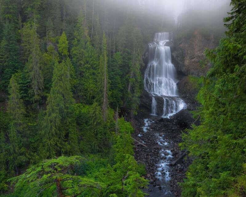 Whistler: Morning with the Bears Land Rover Scenic Excursion - Who Is This Tour Best For?
