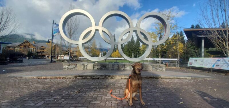 Whistler, Sea to Sky Gondola, Shannon Fall & Green Lake Tour - Real Traveler Insights