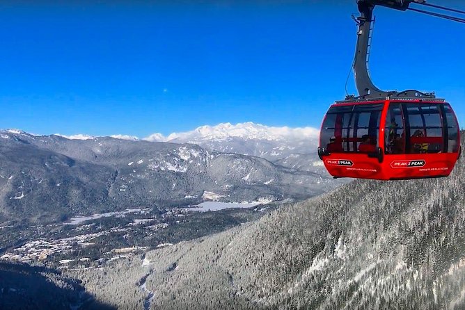 Whistler Sightseeing Tour From Vancouver: See Horseshoe Bay and Shannon Falls - Positive Comments About Tour Organization