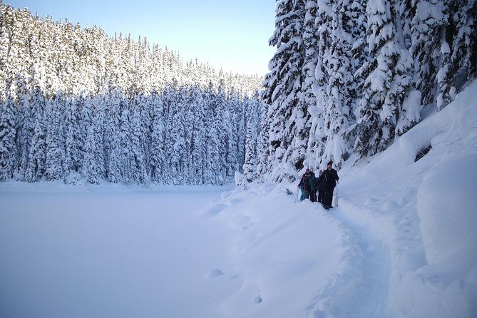 Whistler Small-Group Full-Day Snowshoe Tour - What to Expect