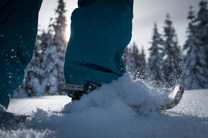 Whistler Snowshoeing Adventure - End Point and Cancellation Policy