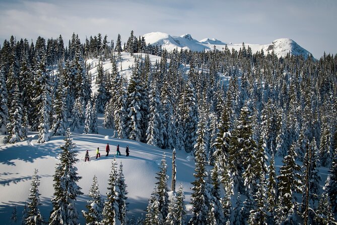 Whistler Snowshoeing Adventure - Traveler Photos and Reviews