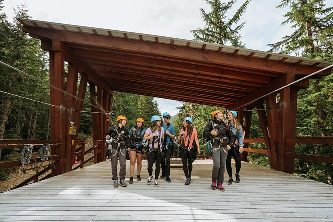 Whistler Superfly Ziplines - Reviews and Recommendations