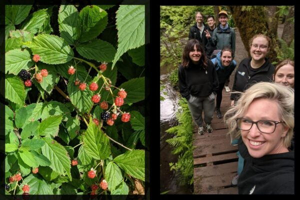 Whistler: Tour, Forest Educational & Meditative Walk - Customer Review