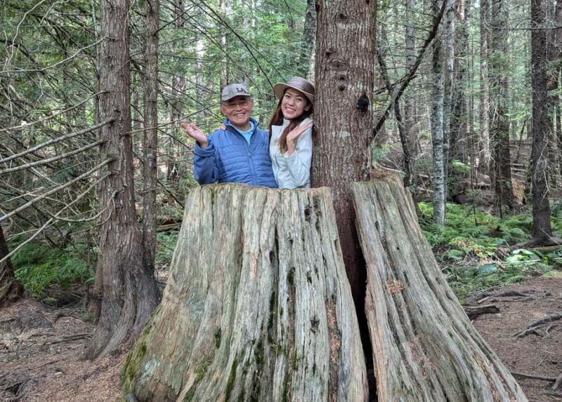 Whistler: Tour, Immersive Nature Experience - Good To Know