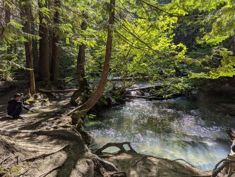 Whistler: Tour, Sensory Nature Experience for Families - Good To Know