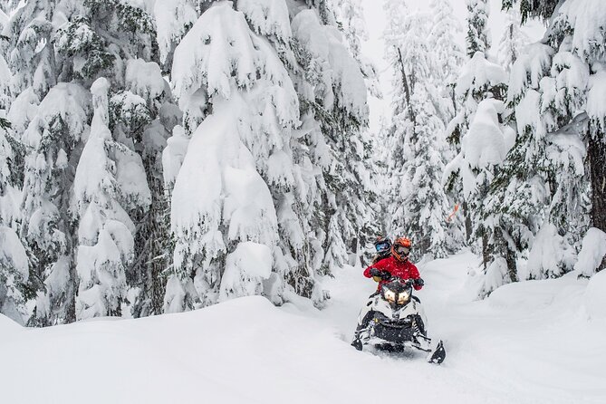 Whistler Wilderness Run Snowmobile Tour - Whats Included