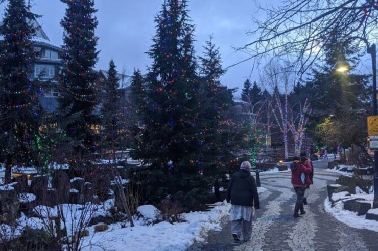 Whistler Winter Adventure Tour - Activity Details