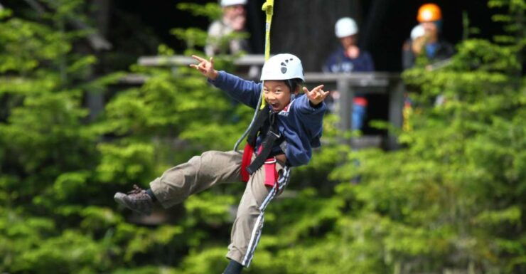Whistler Zipline Experience: Ziptrek Bear Tour - Booking Details