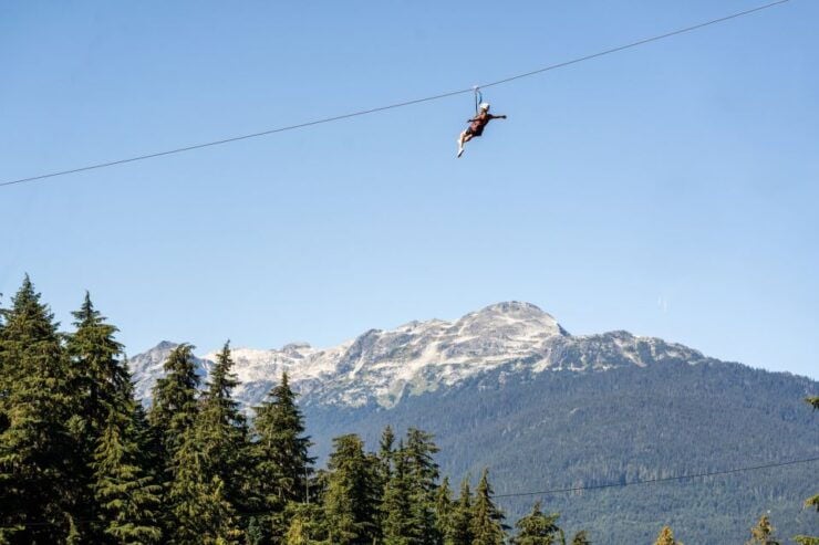 Whistler Zipline Experience: Ziptrek Eagle Tour - Activity Details