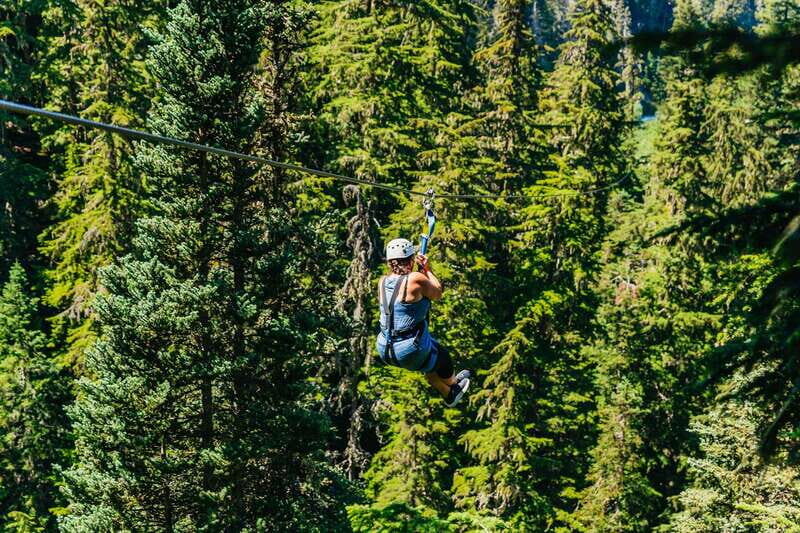 Whistler: Ziplining Experience - Good To Know