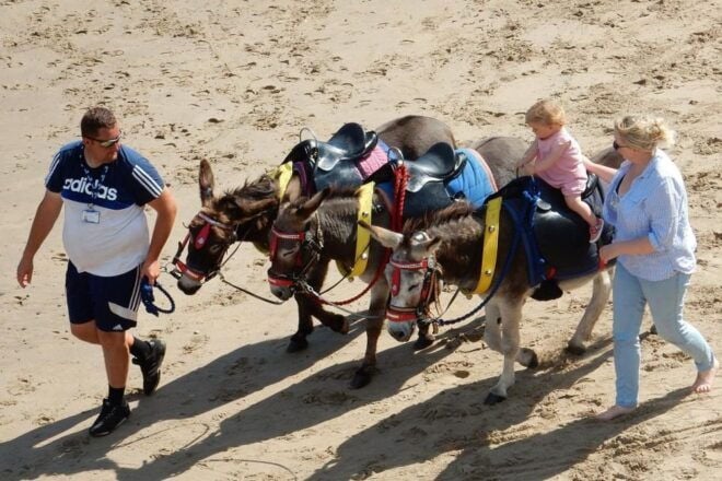 Whitby: Quirky Self-Guided Smartphone Heritage Walks - Walk Details